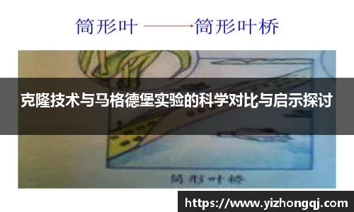 bwin必赢